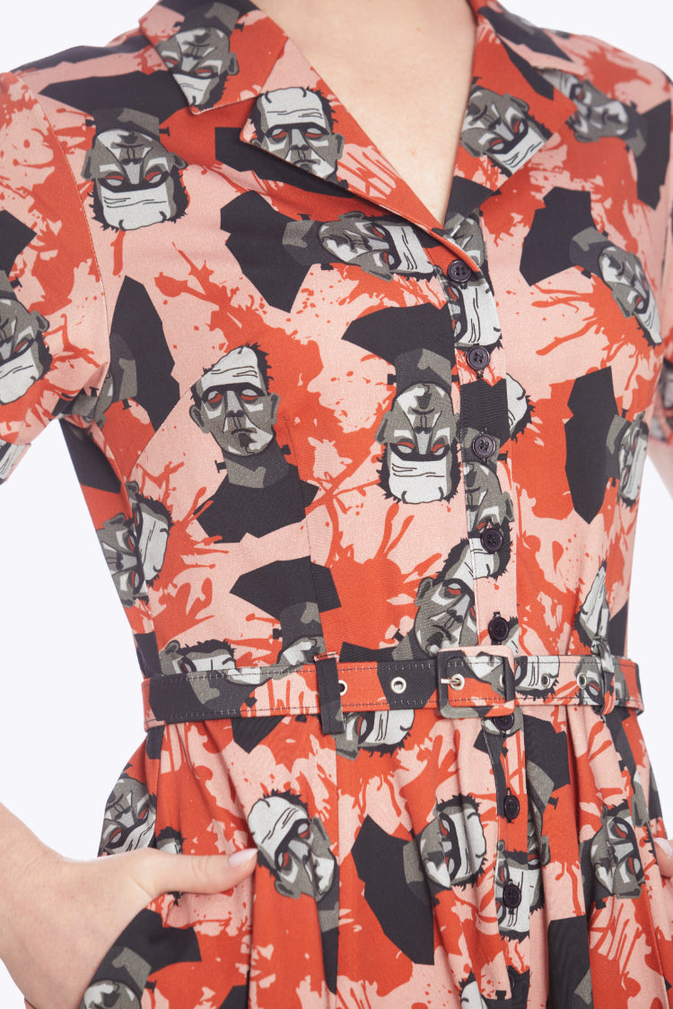 Caterina Frankeshine Swing Dress