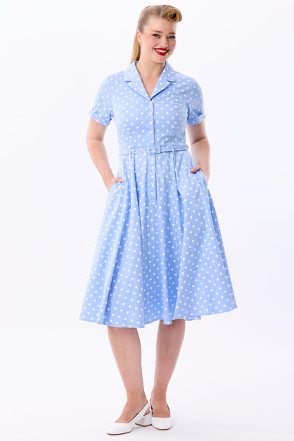 Caterina Sky Polka Swing Dress